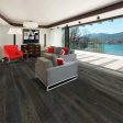 Alta Vista Hardwood Collection - Sample 12” Online Hot Sale